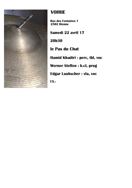 Les pas du chat Voirie Biel/Bienne 2017