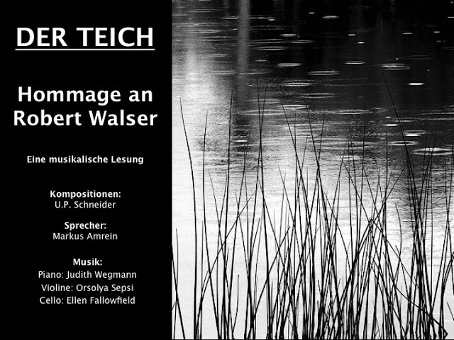 DerTeich Robert Walser Voirie Biel Bienne 2017